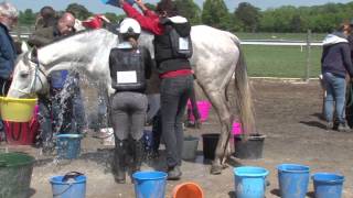 Endurance Rambouillet 2014  CEI Jeunes Cavaliers 120 km [upl. by Desai]