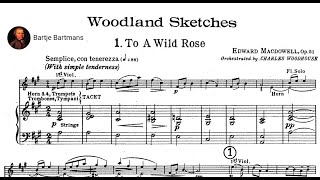 Edward MacDowell  10 Woodland Sketches Op 51 arr for Orchestra 1895 [upl. by Nossyla903]