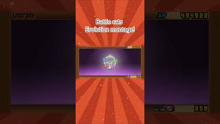 CRAZY BATTLE CATS EVOLUTION MONTAGEgames battlecat catfood gaming  thebattlecats gameplay [upl. by Dragon]