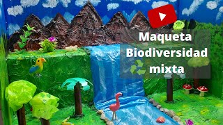 Maqueta de la Biodiversidad mixta ♻🤩MVRC♻ [upl. by Yerffoj279]