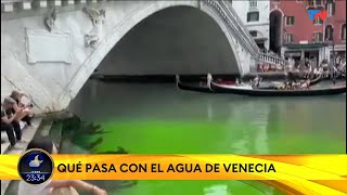 ITALIA I Sorpresa y preocupación en Venecia las aguas se tiñeron de verde fosforescente [upl. by Ayk242]