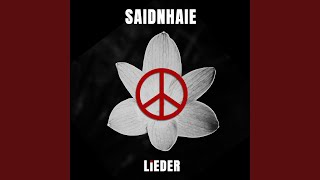 Sag mir wo die Blumen sind InstrumentalKaraoke [upl. by Gabriel834]