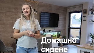 За първи път правя домашно сирене 🤭 [upl. by Amirak]