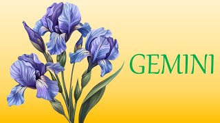 GEMINI 💕 Love Tarot November 20 2024 Today Card Reading 🧡 Daily Prediction 🧡 Single Couple [upl. by Nibur]