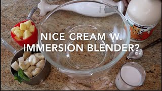 Immersion Blender Vegan Nice Cream [upl. by Aiva]