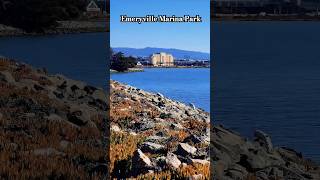 Emeryville Marina Park [upl. by Arytal566]