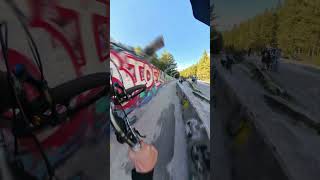 70kmh Brakeless MTB Bobsled POV [upl. by Llemert]