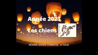 🙏🐶 Votre année 2023 les signes des chiens par lhoroscope chinois 🐶🙏 [upl. by Annala]