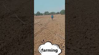 Farming vlog subscribe 1kvlog [upl. by Llemert]