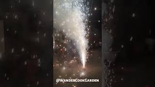 Sparkle amp shine with bomb celebration on Diwali 🪔✨🌆🧨💣WanderCookGarden [upl. by Tolliver325]