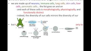 Lecture 7  Control of Gene Expression Chapter 8 Part 1 [upl. by Anahtor506]