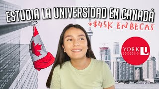 BECAS para ESTUDIAR la UNIVERSIDAD en CANADÁ 🇨🇦 YORK UNIVERSITY en TORONTO  💰45K al año en BECAS [upl. by Deck]