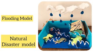 Natural disaster model project floodfor science exhibition project  DIY Natural disaster model [upl. by Lordan]