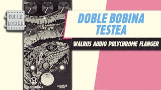 Testeamos el Walrus Audio Polychrome Analog Flanger [upl. by Ruyle]