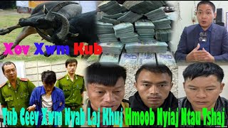 Xov Xwm Kub 27122023 Hmoob Nyab Laj Tso Nyuj Twm Sib Nraus Raug Police Khooj Nyiaj Billion VND Xwb [upl. by Assirok]