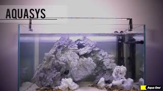 Aqua One AquaSys Aquarium [upl. by Cleopatre521]