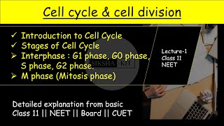 Cell Cycle amp Cell Division ✅ Introduction and stages of cell cycle  class11biology neet A005 [upl. by Eninotna]