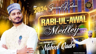 Muhammad Nabeel Qadri  Nabi Ka Lab Par Joh Zikr  Rabi ul awal Naat  Milad Title 2024 [upl. by Terr290]