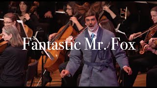 Fantastic Mr Fox BMOP [upl. by Eisyak]