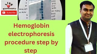 Hemoglobin Electrophoresis Procedure  Agarose Gel hemoglobin Electrophoresis for sickle cell anemia [upl. by Ulrikaumeko]