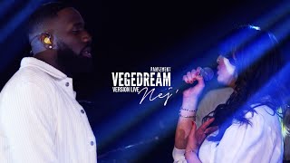 Vegedream feat nej  Pansement live acoustique [upl. by Atekihs]