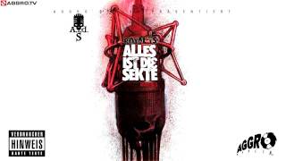 ROYAL TS SIDO amp BTIGHT DAS MIC amp ICH  ALLES IST DIE SEKTE  ALBUM  TRACK 20 [upl. by Sagerman]