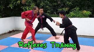 Tapondo Reflexes Training [upl. by Gilli]