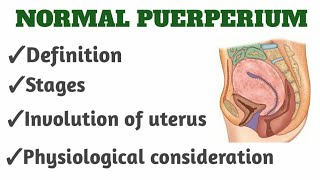 Normal Puerperium 📗OBG notesbsc ampgnm nursingPART 1 [upl. by Ara]