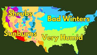 Köppen Climate Types Explained [upl. by Eocsor277]