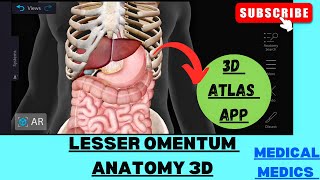 Lesser Omentum  Anatomy of Lesser Omentum 3d  Abdomen Anatomy [upl. by Raddatz]