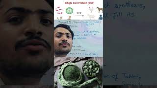 What is Single Cell Protein l SCP protein biology neet neetpyq shorts wbc rbc bio botany [upl. by Dabney]