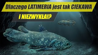 LATIMERIA – skamieniałość która nie wyginęła  najdziwniejsze zwierzęta świata 8 [upl. by Weigle805]