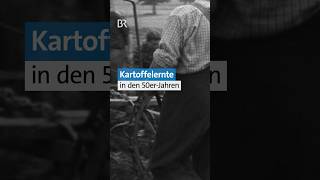 🥔Habt ihr schon mal Kartoffeln geerntet  50erJahre retro kartoffel landwirtschaft ernte  BR [upl. by Thompson]