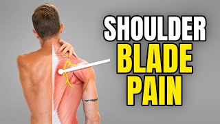 4 Shoulder Blade Pain Exercises Interscapular Pain [upl. by Honan]