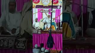 Ambari Jalsa trendingshorts viralvideo shortvideo [upl. by Aneral]