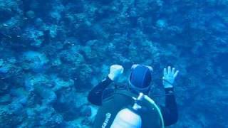 Diving In Sharm El Sheikh Egypt [upl. by Wren]