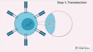 Use of CRISPRCas9 in CART cell Therapy [upl. by Albarran]