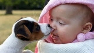 Hunde Und Babies Sprechen Miteinender HD VIDEO [upl. by Napas]