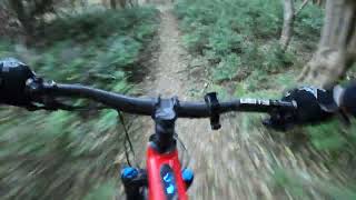 wollongong mtb kembla middle track steep fun 🤙 [upl. by Drahcir]