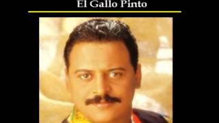 EL GALLO PINTO  WILFRIDO VARGAS [upl. by Beesley]