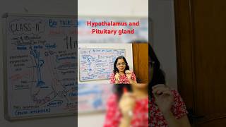 Hypothalamus and Pituitary gland youtubeshorts youtube hormones science [upl. by Adnirak]