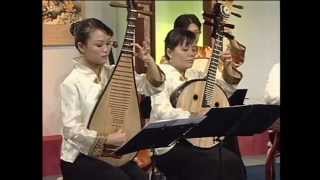 Traditional Chinese Music quotHeavenly Homequot Chinese EnsembleOrchestra [upl. by Obed]