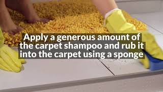 How To Remove Mildew Smell From The Carpet  Lynnwood Carpet Cleaning [upl. by Talley480]