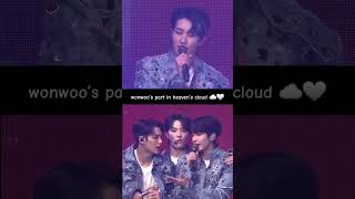 wonwooheaven cloud ☁️🩶 wonwoo 원우 seventeen fyp foryou [upl. by Suiramed]