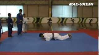 Fundamentos do Judo  Mae Ukemi [upl. by Ddej]