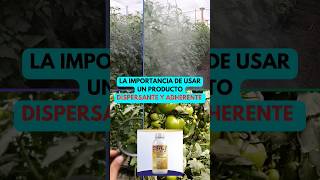 USA PRODUCTOS ADHERENTES Y DISPERSANTE agricultura hortalizas cultivos [upl. by Malony]