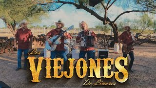 Los Viejones de Linares El Corrido De Arturo Video Oficial [upl. by Fabri756]