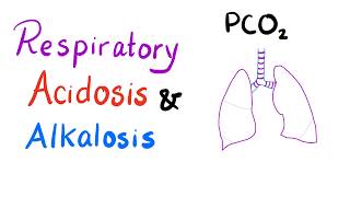 Respiratory Acidosis amp Alkalosis  AcidBase Imbalance [upl. by Aimahc]