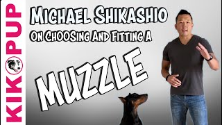 Learn About Fitting a Muzzle from Expert Michael Shikashio [upl. by Lhamaj]