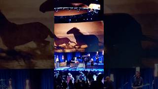 Stevie Nicks  Rhiannon concert livemusic short shorts fleetwoodmac [upl. by Urial]